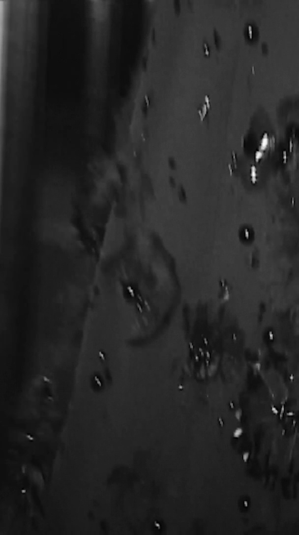 000_01_0143.jpeg 000_01_0143.jpeg