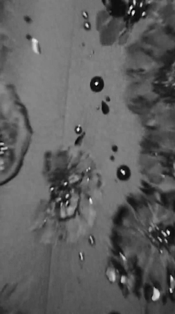 000_01_0146.jpeg 000_01_0146.jpeg