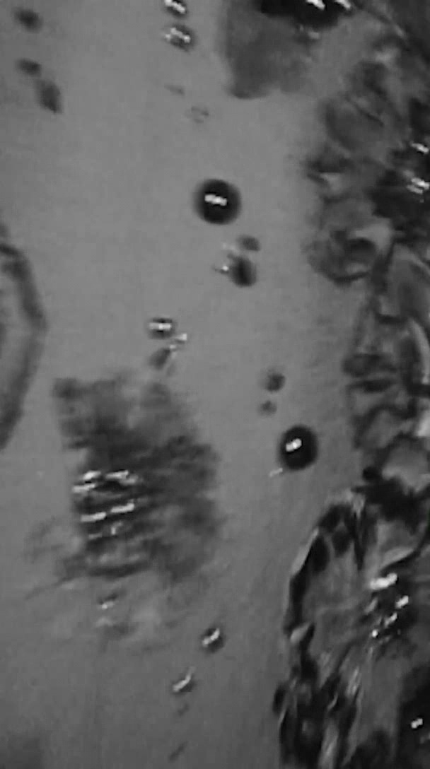 000_01_0147.jpeg 000_01_0147.jpeg