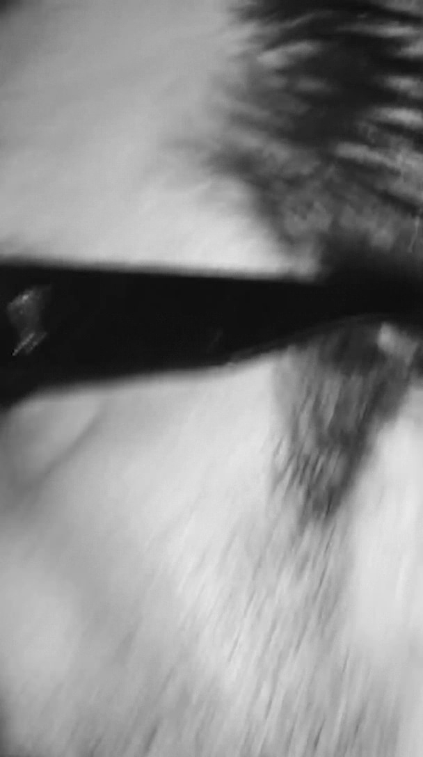 000_01_0170.jpeg 000_01_0170.jpeg