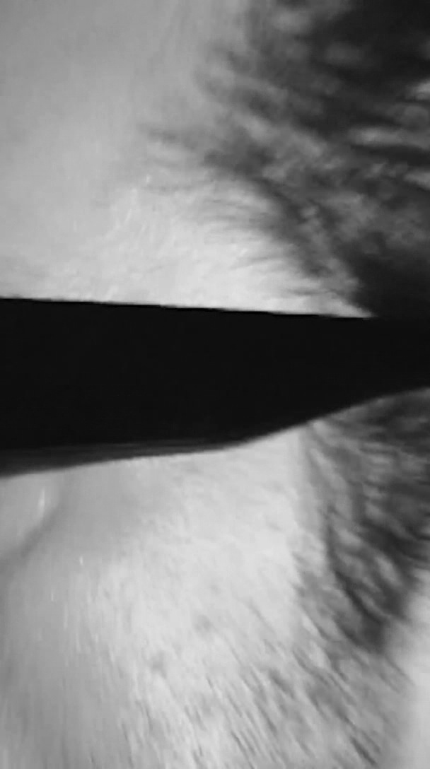 000_01_0171.jpeg 000_01_0171.jpeg