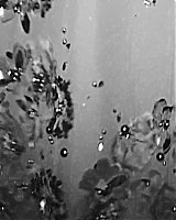 Filename=000_01_0136.jpeg
Filesize=103KiB
Dimensions=608x1088
Date added=May 07, 2024 000_01_0136.jpeg