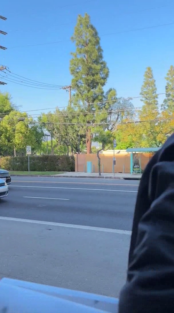 000_001_0155.jpeg 000_001_0155.jpeg