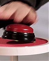 Filename=000_001_0732.jpeg
Filesize=159KiB
Dimensions=1920x1080
Date added=Apr 22, 2025 000_001_0732.jpeg