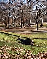 Filename=0000049.jpeg
Filesize=137KiB
Dimensions=720x406
Date added=Jul 30, 2022 0000049.jpeg