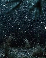 Filename=659.jpg
Filesize=155KiB
Dimensions=1920x816
Date added=Jul 30, 2022 659.jpg