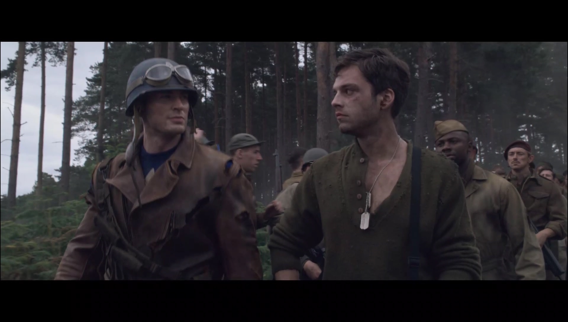 catfaint_00_0192.jpeg catfaint_00_0192.jpeg