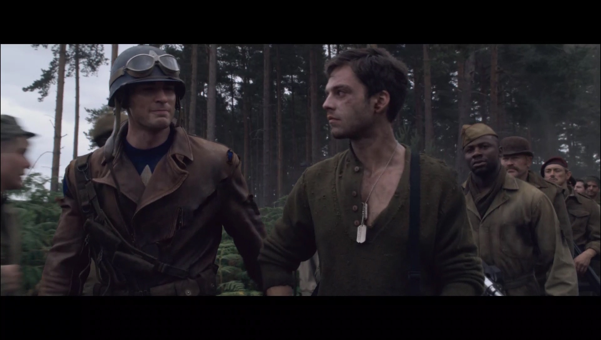 catfaint_00_0197.jpeg catfaint_00_0197.jpeg