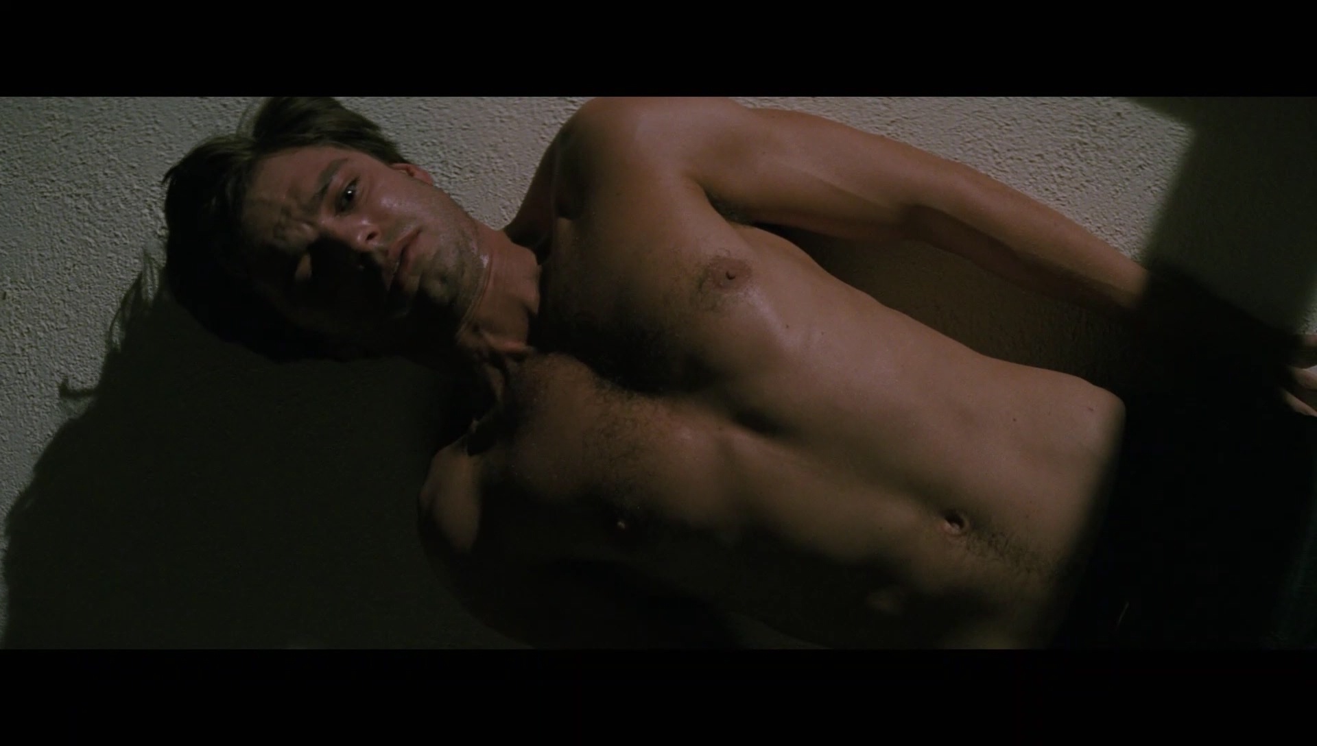 tadvdint_00_0252.jpeg tadvdint_00_0252.jpeg