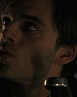 Filename=440.jpg
Filesize=83KiB
Dimensions=1920x800
Date added=Jul 19, 2015 440.jpg