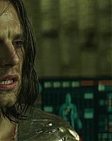 Filename=246.jpg
Filesize=107KiB
Dimensions=1920x800
Date added=Aug 05, 2014 246.jpg