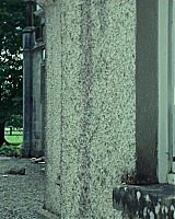 Filename=516.jpg
Filesize=334KiB
Dimensions=1920x804
Date added=Feb 20, 2021 516.jpg