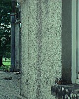 Filename=517.jpg
Filesize=321KiB
Dimensions=1920x804
Date added=Feb 20, 2021 517.jpg