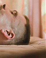 Filename=185.jpg
Filesize=115KiB
Dimensions=1920x800
Date added=Feb 20, 2021 185.jpg