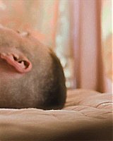 Filename=186.jpg
Filesize=109KiB
Dimensions=1920x800
Date added=Feb 20, 2021 186.jpg