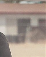 Filename=262.jpg
Filesize=102KiB
Dimensions=1920x800
Date added=Feb 20, 2021 262.jpg