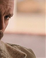 Filename=281.jpg
Filesize=114KiB
Dimensions=1920x800
Date added=Feb 20, 2021 281.jpg