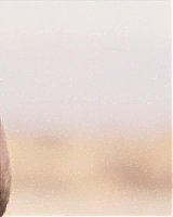 Filename=362.jpg
Filesize=83KiB
Dimensions=1920x800
Date added=Feb 20, 2021 362.jpg