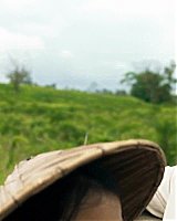 Filename=0877.jpg
Filesize=98KiB
Dimensions=1920x800
Date added=Feb 20, 2021 0877.jpg