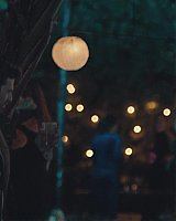 Filename=061.jpg
Filesize=194KiB
Dimensions=1920x800
Date added=Feb 20, 2021 061.jpg