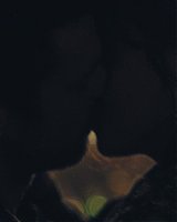 Filename=147.jpg
Filesize=185KiB
Dimensions=1920x800
Date added=Feb 20, 2021 147.jpg