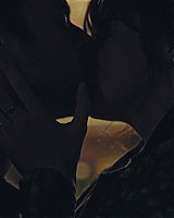 Filename=148.jpg
Filesize=170KiB
Dimensions=1920x800
Date added=Feb 20, 2021 148.jpg