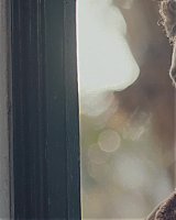 Filename=307.jpg
Filesize=194KiB
Dimensions=1920x800
Date added=Feb 20, 2021 307.jpg