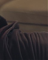 Filename=319.jpg
Filesize=188KiB
Dimensions=1920x800
Date added=Feb 20, 2021 319.jpg