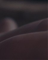 Filename=336.jpg
Filesize=168KiB
Dimensions=1920x800
Date added=Feb 20, 2021 336.jpg