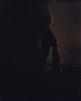 Filename=385.jpg
Filesize=156KiB
Dimensions=1920x800
Date added=Feb 20, 2021 385.jpg