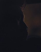 Filename=387.jpg
Filesize=158KiB
Dimensions=1920x800
Date added=Feb 20, 2021 387.jpg