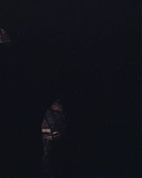 Filename=398.jpg
Filesize=166KiB
Dimensions=1920x800
Date added=Feb 20, 2021 398.jpg