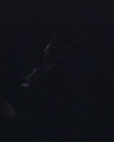 Filename=404.jpg
Filesize=159KiB
Dimensions=1920x800
Date added=Feb 20, 2021 404.jpg