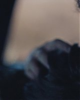 Filename=508.jpg
Filesize=208KiB
Dimensions=1920x800
Date added=Feb 20, 2021 508.jpg