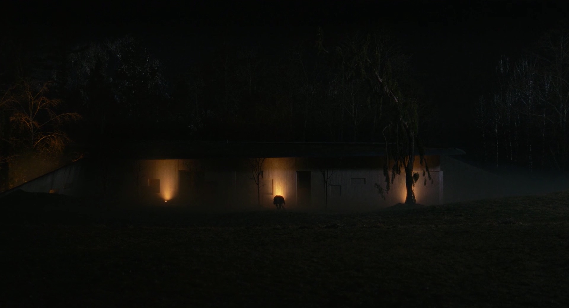 0002975.jpeg 0002975.jpeg