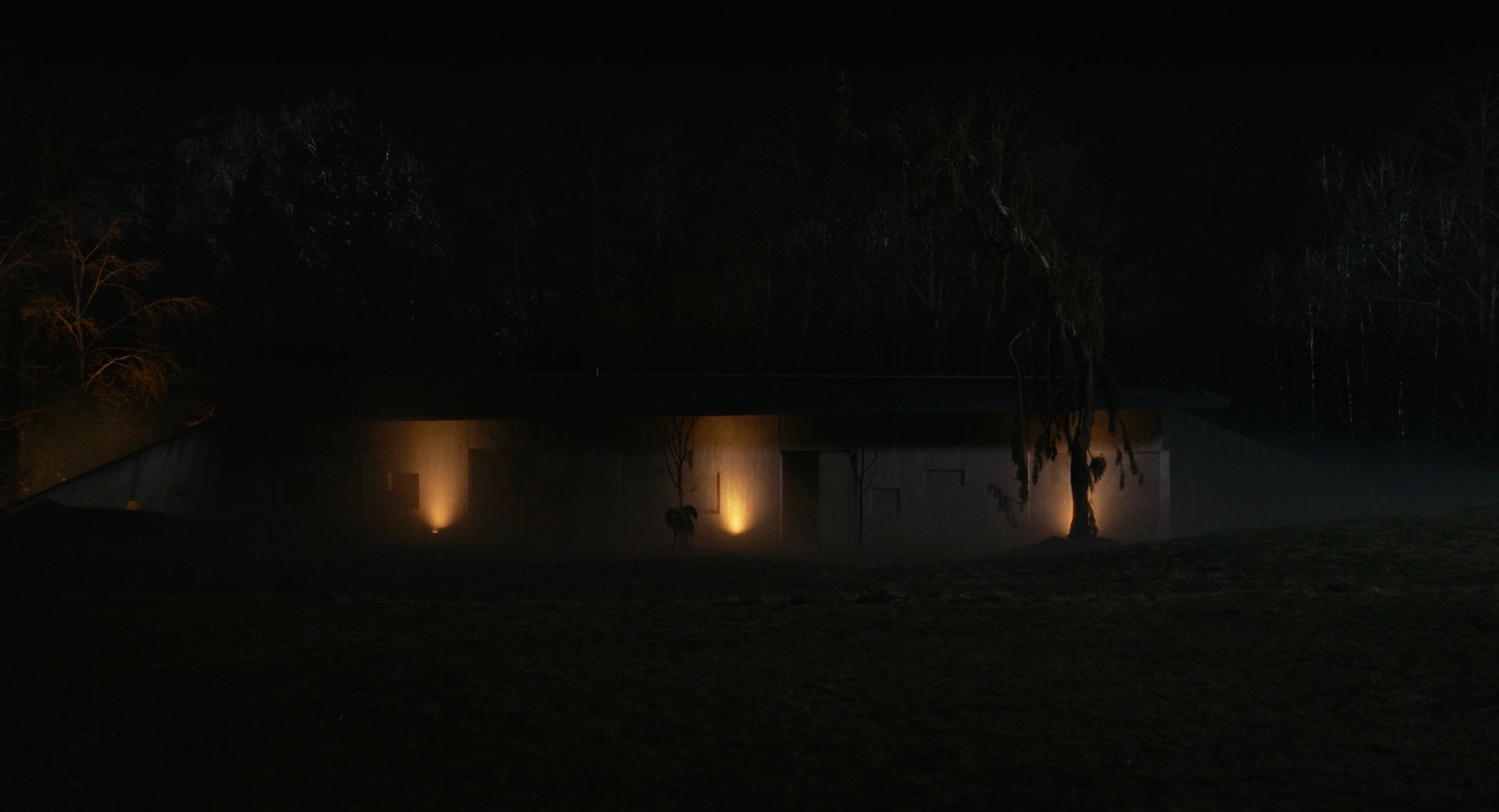 0002976.jpeg 0002976.jpeg