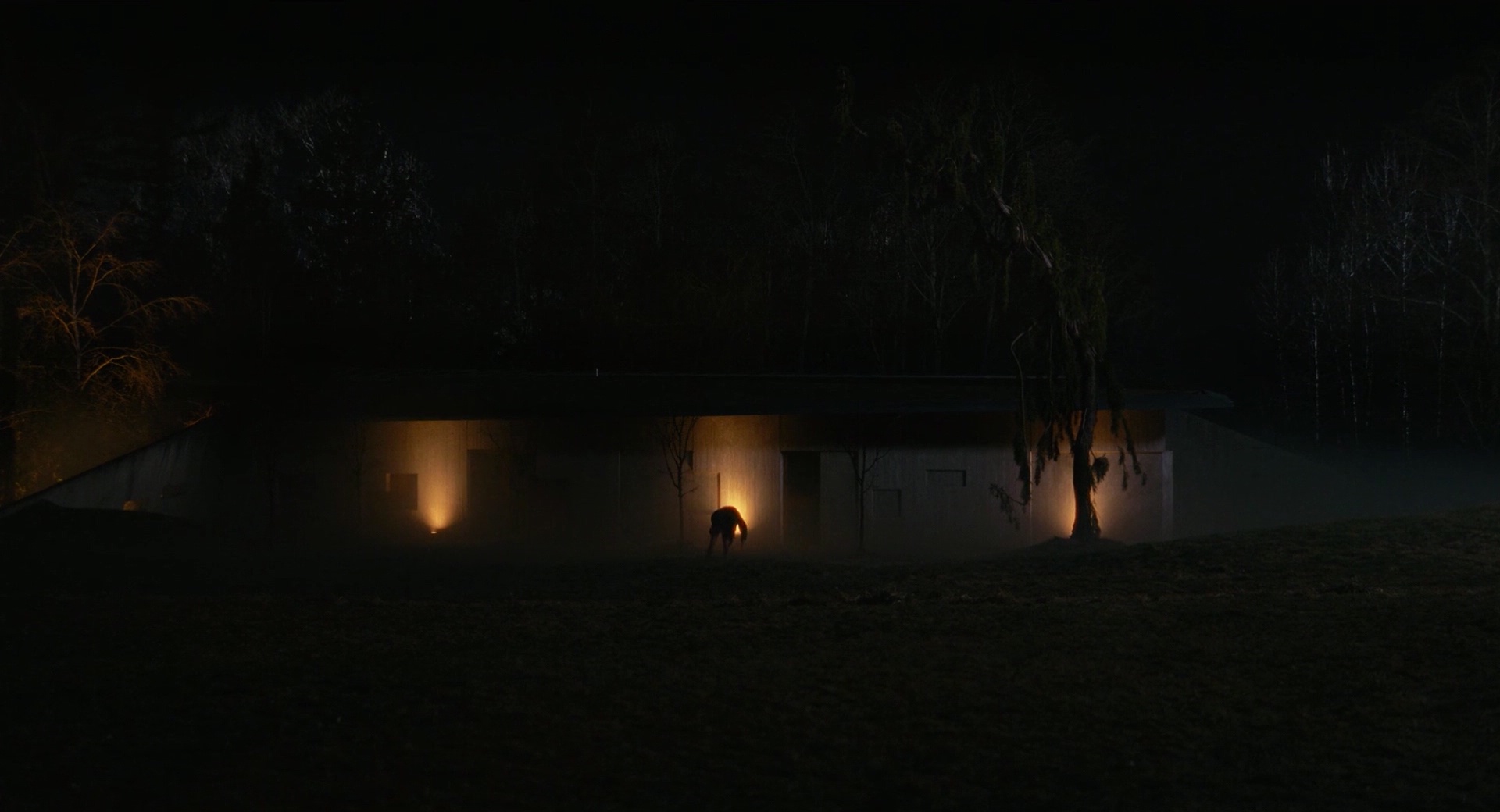 0002977.jpeg 0002977.jpeg