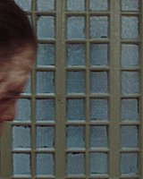 Filename=000_001_0004.jpeg
Filesize=202KiB
Dimensions=1920x1088
Date added=Jun 14, 2025 000_001_0004.jpeg