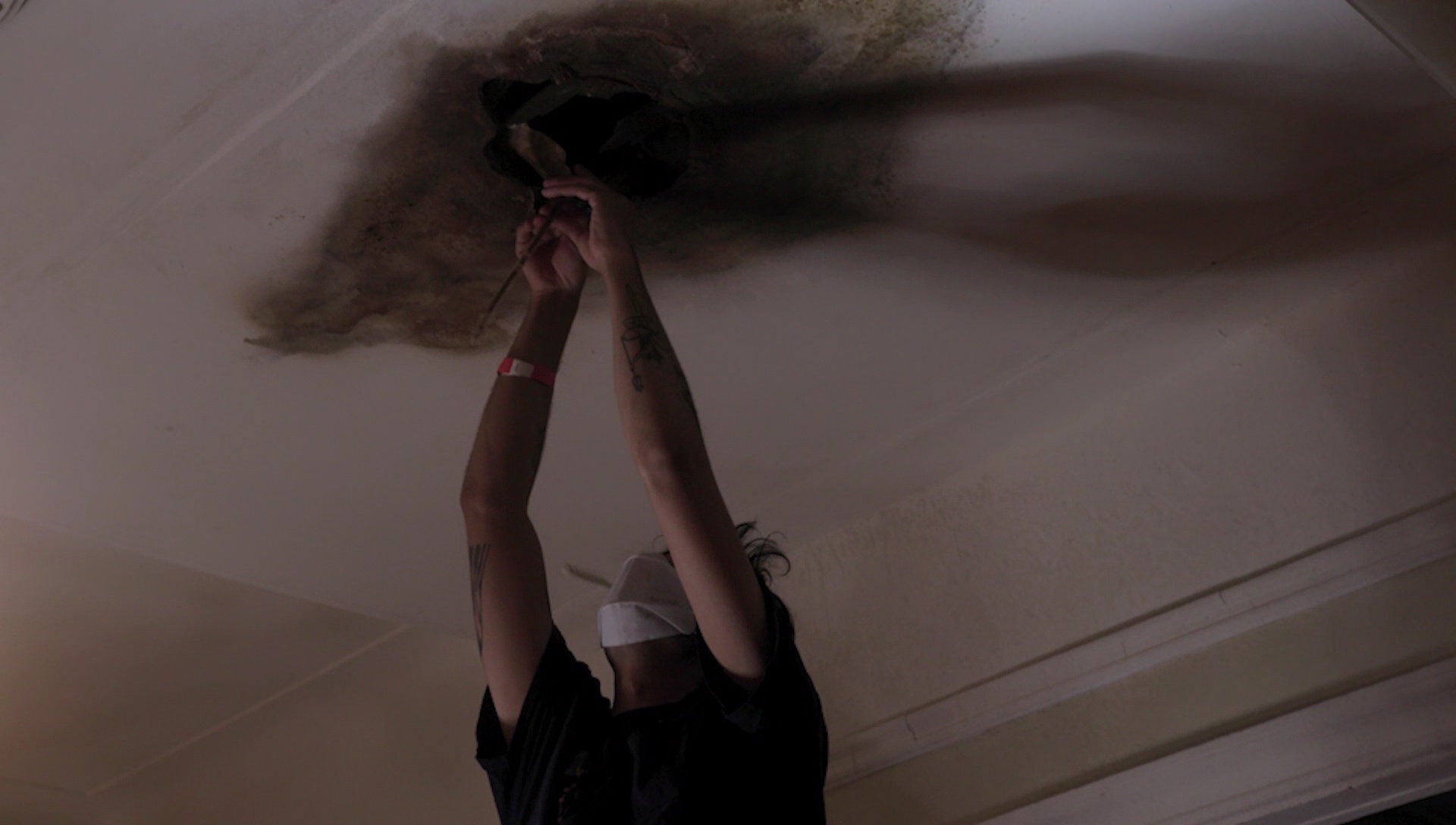 000_001_0042.jpeg 000_001_0042.jpeg