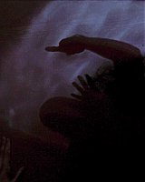 Filename=000_001_0045.jpeg
Filesize=239KiB
Dimensions=1920x1088
Date added=Jun 14, 2025 000_001_0045.jpeg