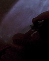 Filename=000_001_0047.jpeg
Filesize=251KiB
Dimensions=1920x1088
Date added=Jun 14, 2025 000_001_0047.jpeg