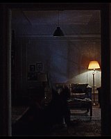 Filename=000_001_0059.jpeg
Filesize=239KiB
Dimensions=1920x1088
Date added=Jun 14, 2025 000_001_0059.jpeg