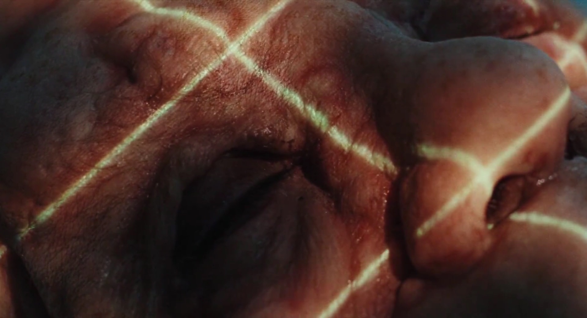 000_01_0480.jpeg 000_01_0480.jpeg