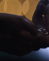 Filename=000_0513.jpeg
Filesize=177KiB
Dimensions=1920x1038
Date added=Apr 24, 2023 000_0513.jpeg