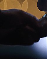 Filename=000_0515.jpeg
Filesize=167KiB
Dimensions=1920x1038
Date added=Apr 24, 2023 000_0515.jpeg