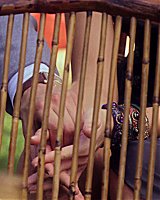 Filename=0000779.jpeg
Filesize=402KiB
Dimensions=1920x1080
Date added=Aug 02, 2022 0000779.jpeg