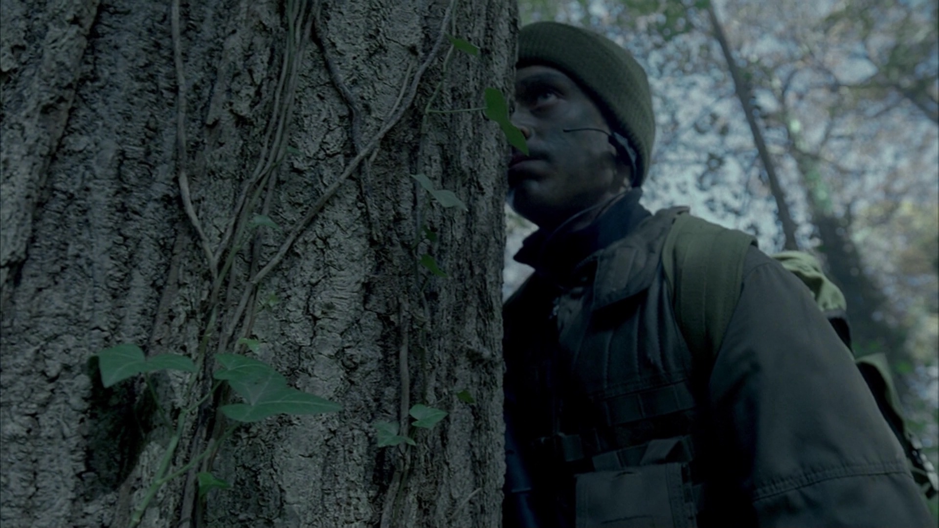 0000351.jpeg 0000351.jpeg