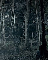 Filename=0000381.jpeg
Filesize=374KiB
Dimensions=1920x1080
Date added=Jul 21, 2022 0000381.jpeg