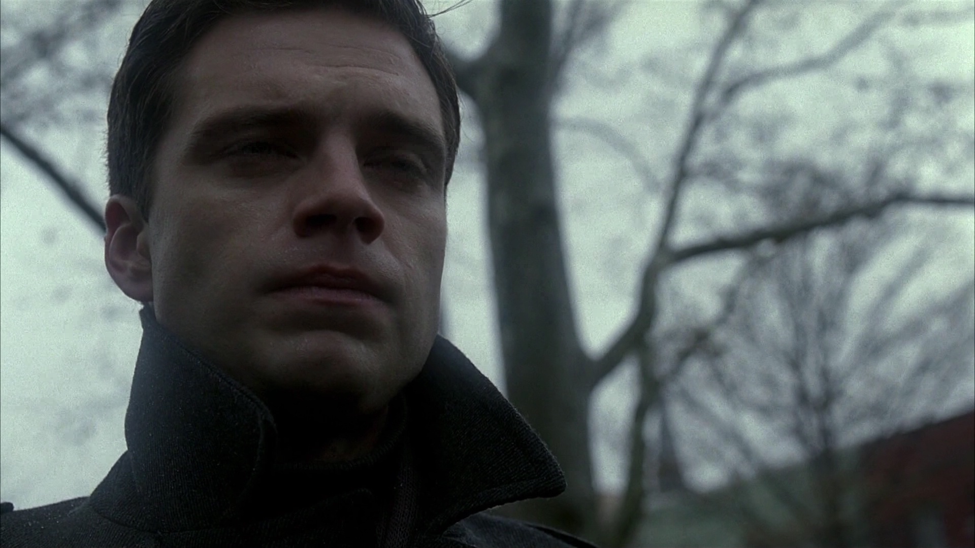 0000527.jpeg 0000527.jpeg