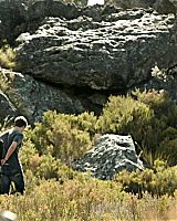 Filename=245.jpg
Filesize=193KiB
Dimensions=1280x720
Date added=Sep 13, 2014 245.jpg